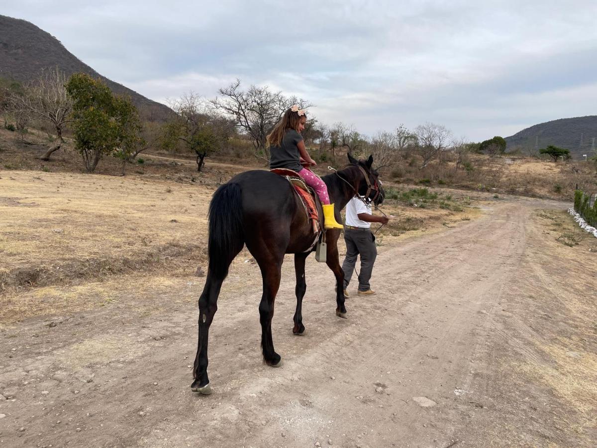 Glamping Moonlev Atlixco Luxury Tend Exterior foto